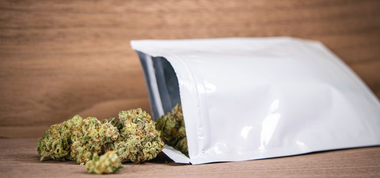 Massachusetts Cannabis Sales Hit New Record in June Massachusetts Cannabis Sales Hit New Record in June