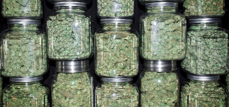 Oklahoma Cannabis Producer Arrested After Regulators Find About 4k Untagged Plants Oklahoma Cannabis Producer Arrested After Regulators Find About 4k Untagged Plants