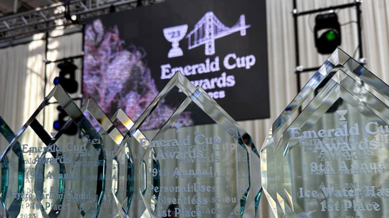All of 2023’s Cannabis Cup winners and where to buy them All of 2023’s Cannabis Cup winners and where to buy them