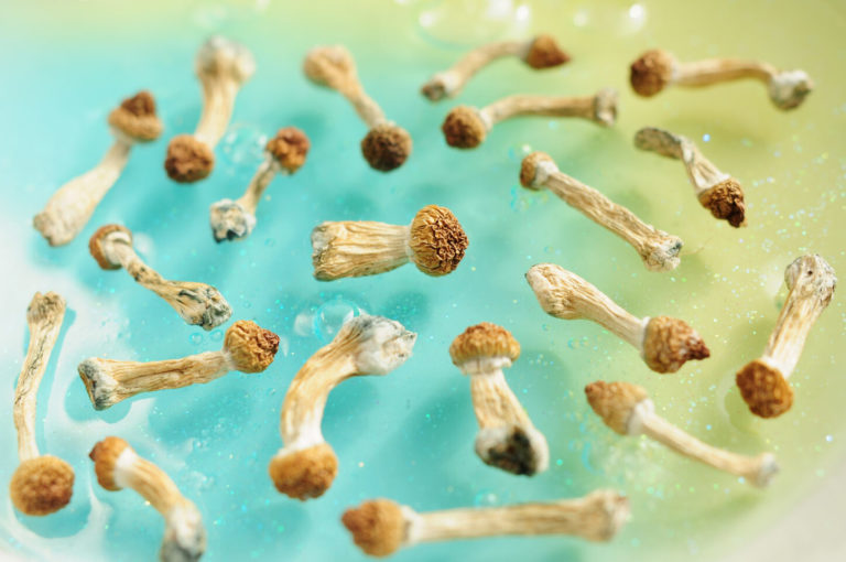 Michigan Lawmakers Call On Congress To Consider Psychedelic Treatment For Vets