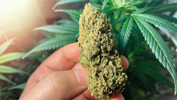 Rescheduling Marijuana Is Not Enough