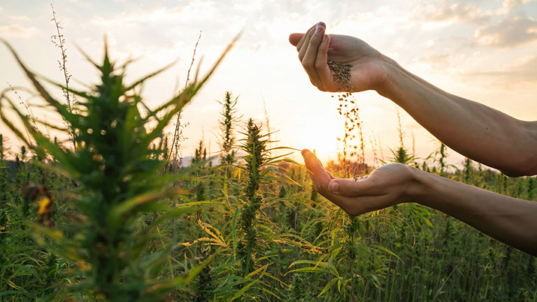 2023 Farm Bill Passage Could Face 1-Year Delay, According to Key US Senator