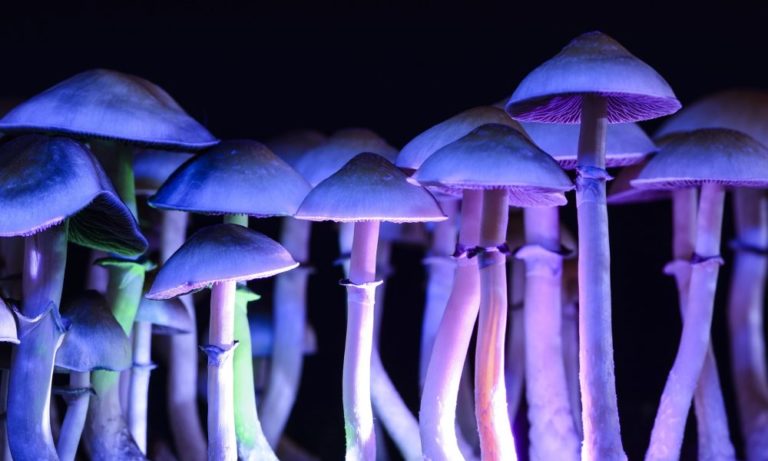 California Governor Newsom Vetoes Psychedelics Legalization, But Calls For New Bill On Therapeutic Access Next Year California Governor Newsom Vetoes Psychedelics Legalization, But Calls For New Bill On Therapeutic Access Next Year