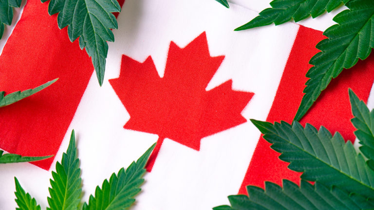 Canadian Government Releases Report on Legislative Review of Cannabis Act Canadian Government Releases Report on Legislative Review of Cannabis Act