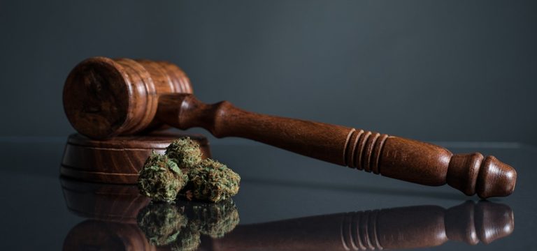 Cannabis Companies Sue U.S. Attorney General Over Federal Cannabis Laws Cannabis Companies Sue U.S. Attorney General Over Federal Cannabis Laws