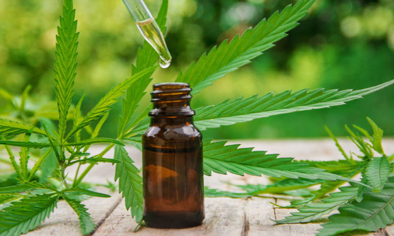 Comparing Hemp and Cannabis-Derived CBD Comparing Hemp and Cannabis-Derived CBD