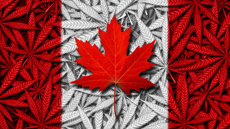 Consumers Winning, Operators Losing 5 Years After Canada’s Adult-Use Cannabis Sales Launch Consumers Winning, Operators Losing 5 Years After Canada’s Adult-Use Cannabis Sales Launch
