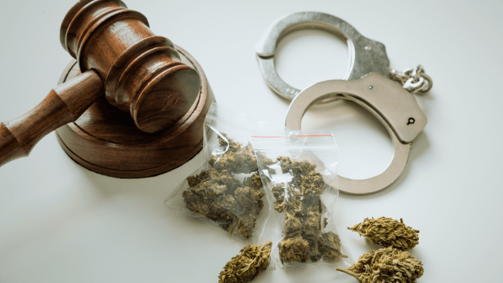 FBI: Police Make Over a Quarter Million Marijuana Arrests in 2022