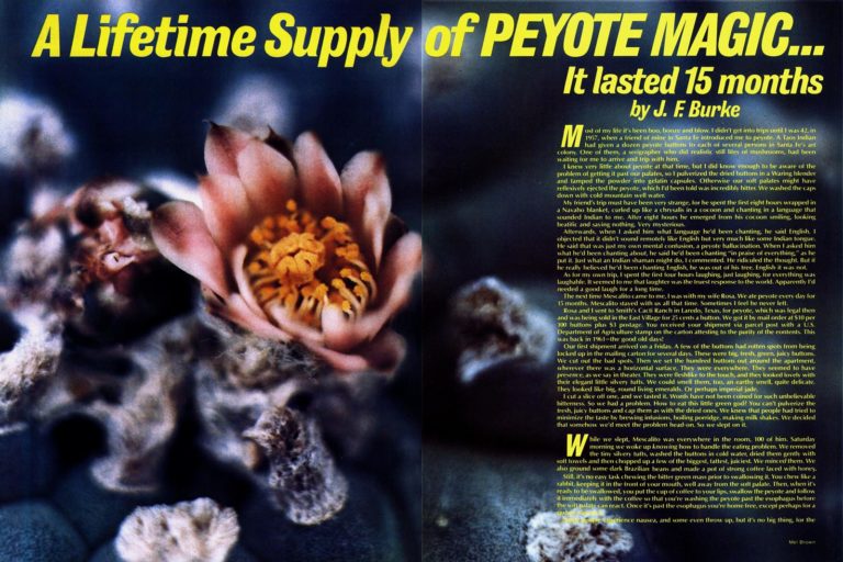 From the Archives: A Lifetime Supply of Peyote Magic (1977)