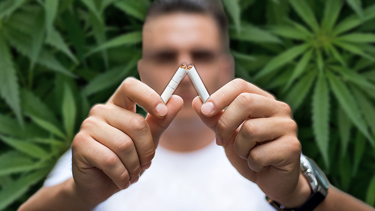 NORML Op-Ed: The Science Is Clear – Marijuana Is Safer Than Tobacco NORML Op-Ed: The Science Is Clear – Marijuana Is Safer Than Tobacco