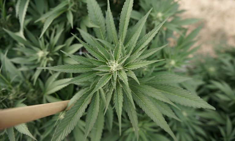 Trade Group Offers Guidance To Marijuana Businesses On How To Find Banking Services Amid Federal Prohibition Trade Group Offers Guidance To Marijuana Businesses On How To Find Banking Services Amid Federal Prohibition