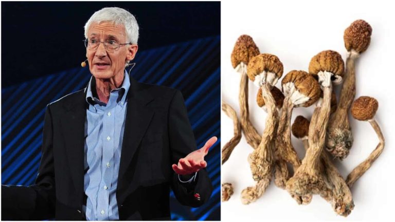 Roland Griffiths, Pioneer of Johns Hopkins Psilocybin Studies Dead at 77