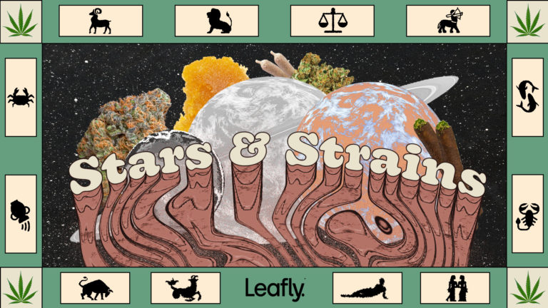 Star signs and cannabis strains: December 2023 horoscopes Star signs and cannabis strains: December 2023 horoscopes