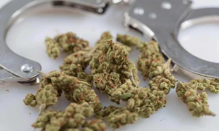 Trump’s Pro-Marijuana Decriminalization DEA Pick Withdraws Amid Pushback From Conservatives Trump’s Pro-Marijuana Decriminalization DEA Pick Withdraws Amid Pushback From Conservatives