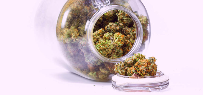 Thailand Could Drop Plans to Recriminalize Cannabis