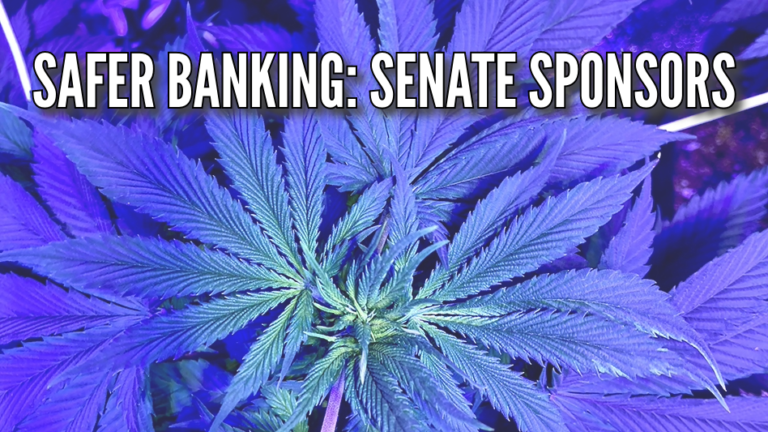 Which US Senators Have Signed Their Names to the SAFER Banking Act of 2023?