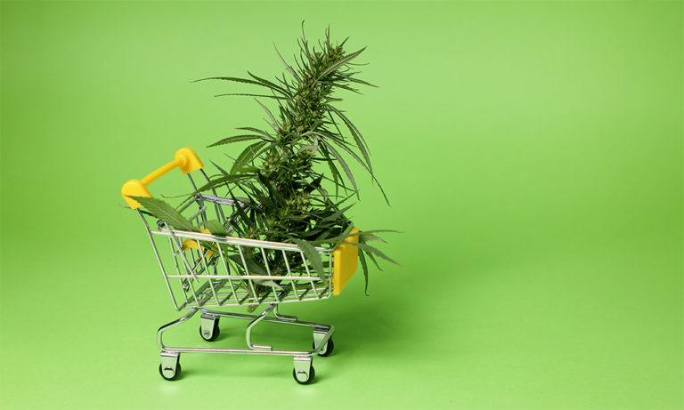Boom or Bust for Cannabis Brands?