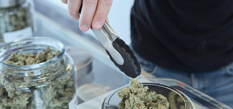Europe’s First Legal Cannabis Dispensary Gets Final Approval by Swiss Regulators Europe’s First Legal Cannabis Dispensary Gets Final Approval by Swiss Regulators