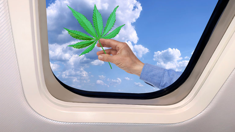 Flying With Cannabis These Holidays? TSA Agents Aren’t Actively Searching Out Your Stash Flying With Cannabis These Holidays? TSA Agents Aren’t Actively Searching Out Your Stash