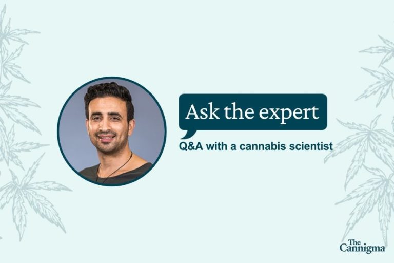 Help! My cannabis flowers are turning brown – is this mold? Help! My cannabis flowers are turning brown – is this mold?