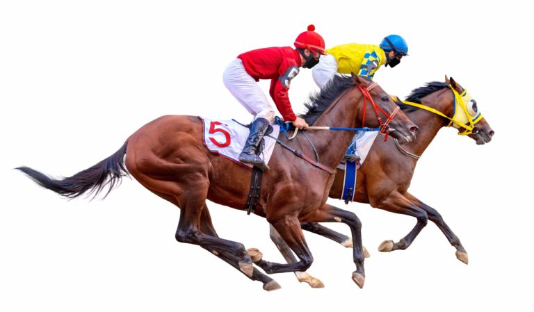 Horse Tests Positive for Cocaine, Meth, Ketamine After Winning Race Horse Tests Positive for Cocaine, Meth, Ketamine After Winning Race