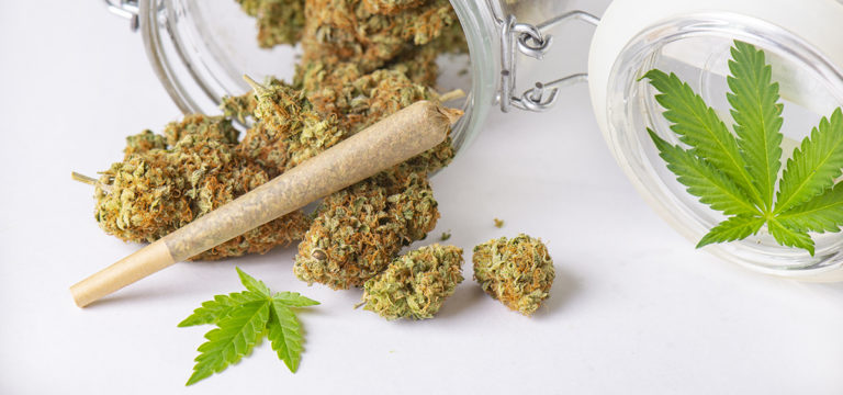 New York Settles Lawsuit That Prevented Adult-Use Dispensary Licensing New York Settles Lawsuit That Prevented Adult-Use Dispensary Licensing