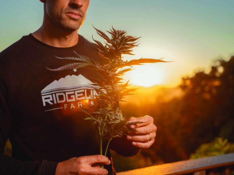 Ridgeline Lights the Way | High Times Ridgeline Lights the Way | High Times