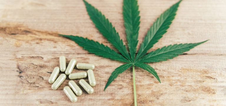 University of Mississippi to Launch Medical Cannabis and Dietary Supplements Graduate Program University of Mississippi to Launch Medical Cannabis and Dietary Supplements Graduate Program