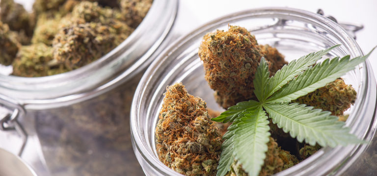 Weedmaps Data Finds ‘Green Wednesday’ Cannabis Sales Outpace Black Friday Sales Weedmaps Data Finds ‘Green Wednesday’ Cannabis Sales Outpace Black Friday Sales