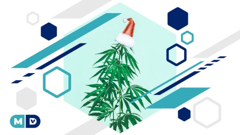 13 Cannabis-Themed Stocking Stuffers for Last Minute Shoppers 13 Cannabis-Themed Stocking Stuffers for Last Minute Shoppers