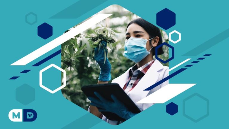 Can Cannabis Consumption Lead To A Hormonal Imbalance? Can Cannabis Consumption Lead To A Hormonal Imbalance?