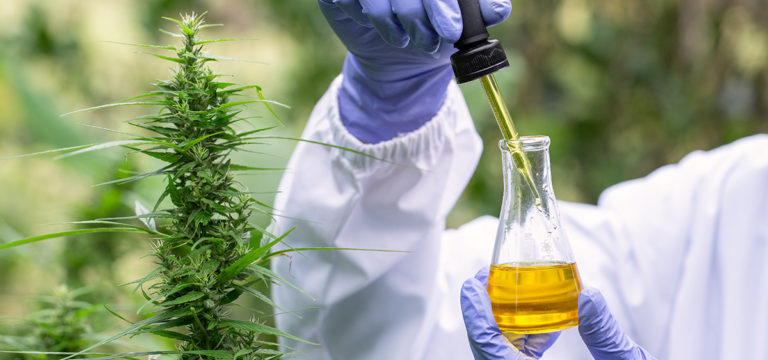 Cannabis Researchers Have Published 32,000+ Studies In Last Decade