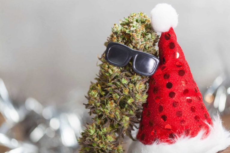 Christmas Marijuana (and Mushroom) Decorations to Liven Up the Season Christmas Marijuana (and Mushroom) Decorations to Liven Up the Season