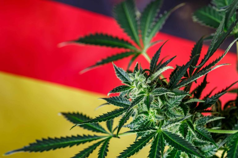 Germany Eyes April 2024 for Cannabis Legalization Germany Eyes April 2024 for Cannabis Legalization