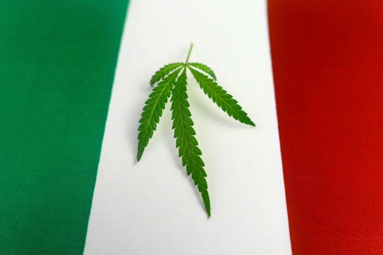Italian MJ Reform Campaign Gains Nearly Half of Needed Signatures in One Week Italian MJ Reform Campaign Gains Nearly Half of Needed Signatures in One Week