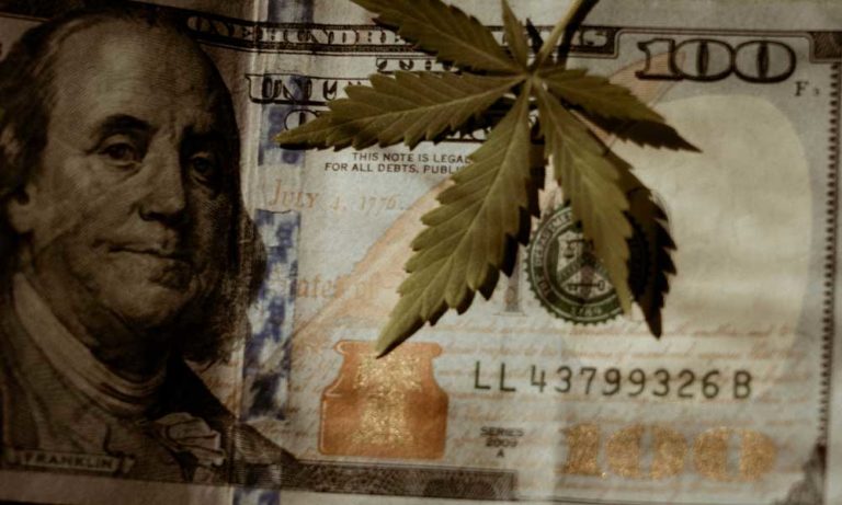 New York Governor Signs Cannabis Banking Compliance Bill New York Governor Signs Cannabis Banking Compliance Bill