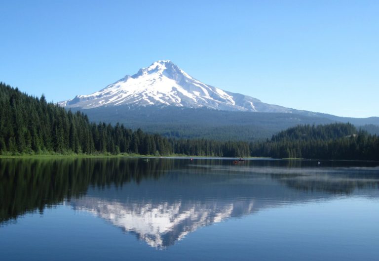 Oregon Cannabis: State of the State (2023) Oregon Cannabis: State of the State (2023)