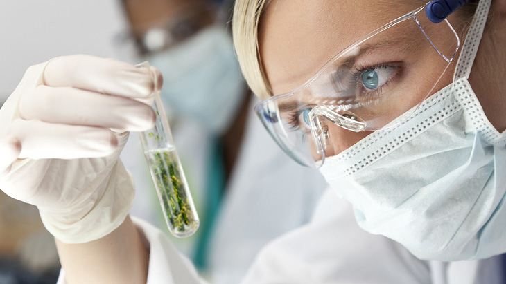 Scientists Have Published Over 30,000 Papers on Cannabis Over the Past Decade Scientists Have Published Over 30,000 Papers on Cannabis Over the Past Decade