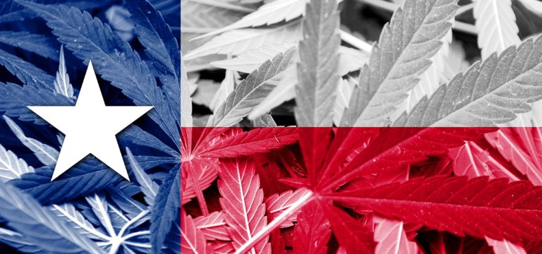 Texas Activists Sue City That Refuses to Reform Cannabis Laws Despite Ballot Measure Approval