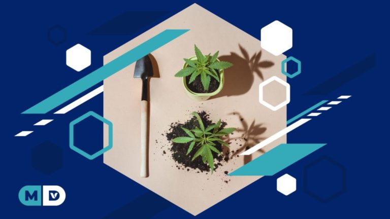 the Emerging Sustainable Housing Trend