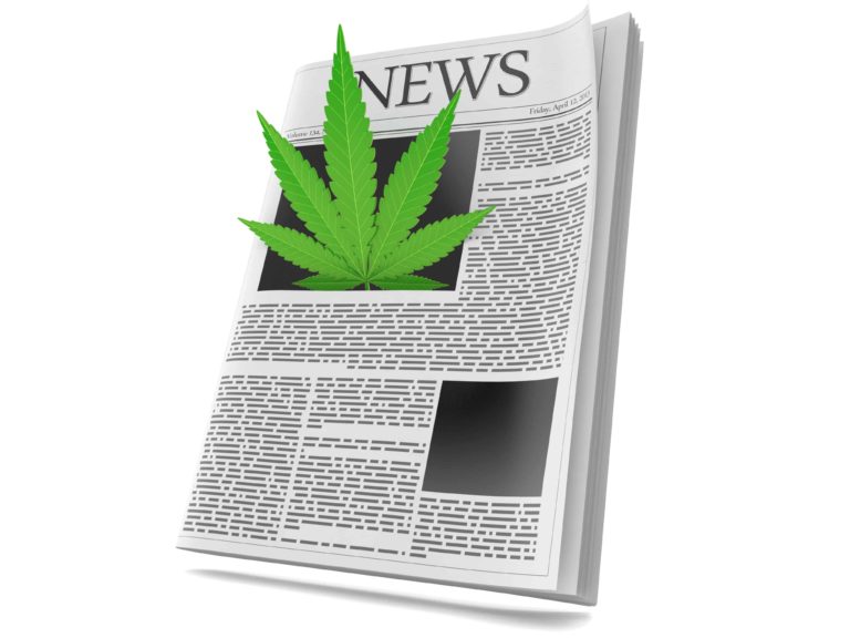A Day in the Life of a Weed Journalist A Day in the Life of a Weed Journalist