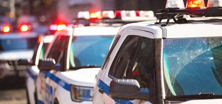 California Taskforce Seized Nearly 190,000 Pounds of Cannabis Last Year