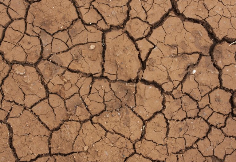 California’s Cannabis Taxes Are a Disaster