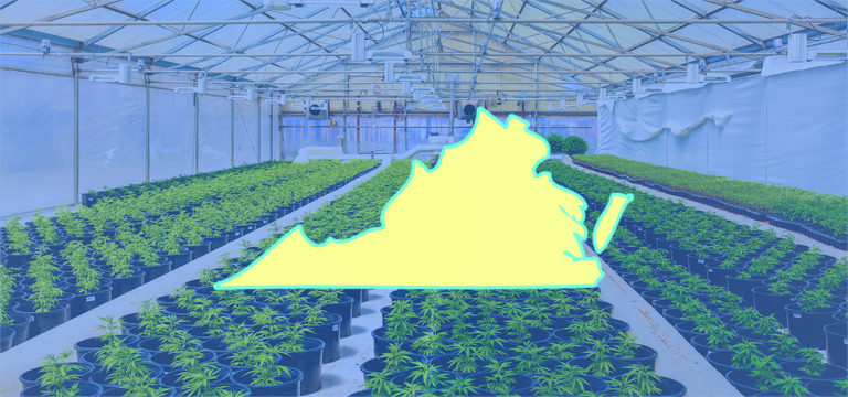 Cannabis Retail Bill Advanced By Virginia Lawmakers