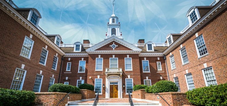 Delaware House Votes for Medical Cannabis Program Expansions