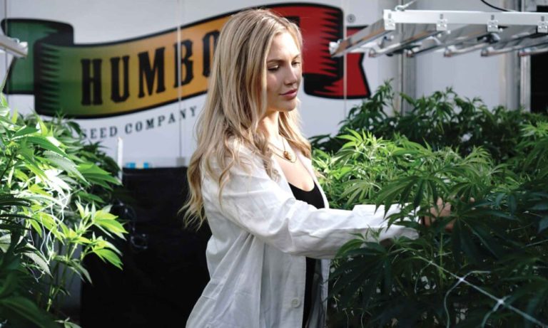Humboldt Seed Company: No Seed Limit