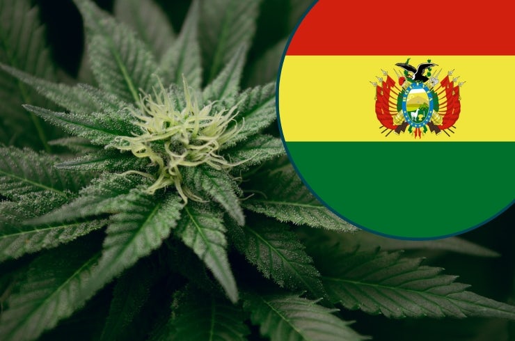 Is Weed Legal in Bolivia?