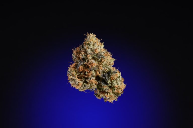 Keeping it 10 | High Times