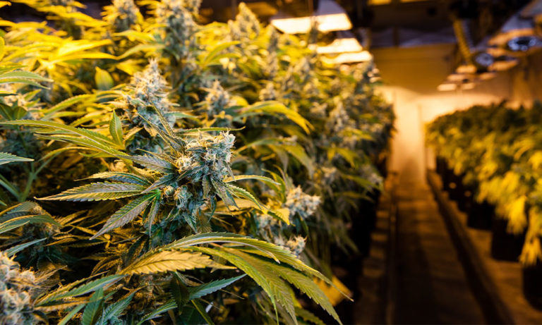 Milwaukee Instruments Proves Precise Measurements Matter