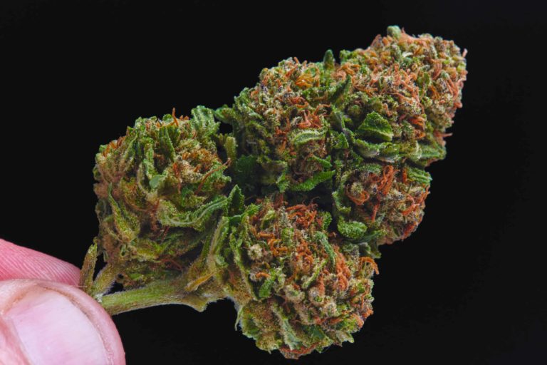 Nevada Doubles Weed Possession Limit